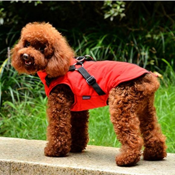 NWT Norbi Jacket Dog Vest XL - Picture 3 of 5